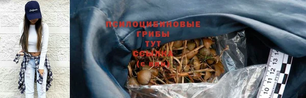 амф Горно-Алтайск