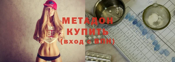 сатива Горняк