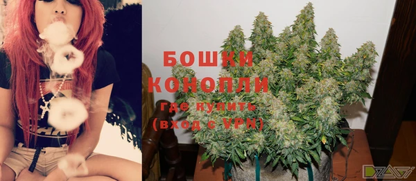 сатива Горняк