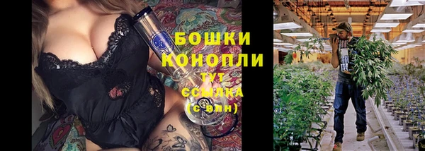 сатива Горняк
