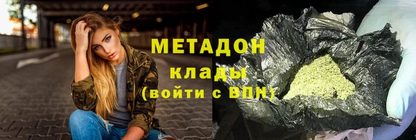 сатива Горняк