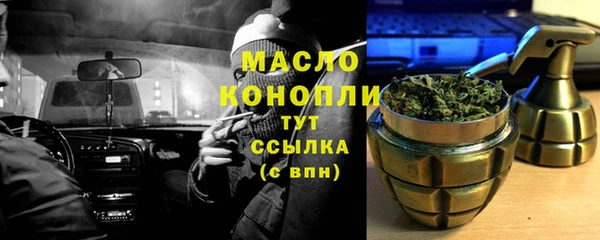 сатива Горняк