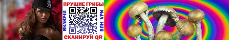 Псилоцибиновые грибы MAGIC MUSHROOMS  Дагестанские Огни 